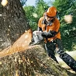 Профессионально и быстро уберем деревья